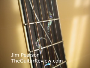 IbanezAW40VineDetail2JimPearson IbanezAW40VineDetail2JimPearson